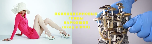 дурь Беломорск