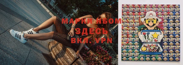крисы Белокуриха