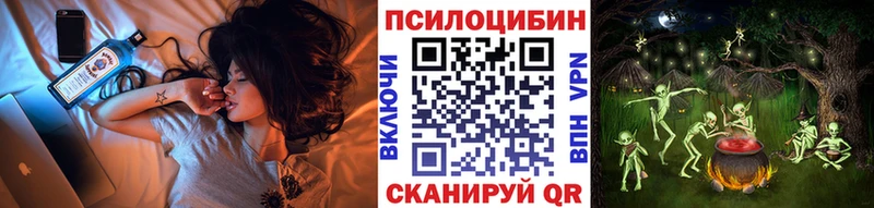наркотики  Светогорск  блэк спрут зеркало  Псилоцибиновые грибы ЛСД 